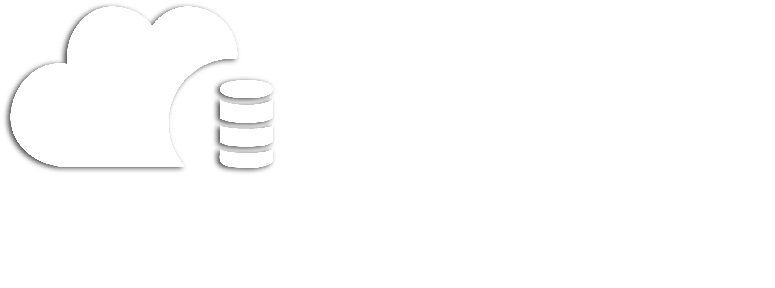 VSN SERVICES: Expert IT Services